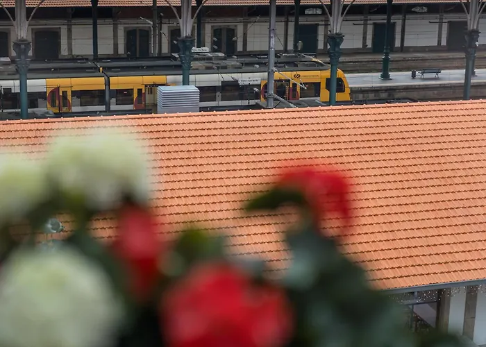 Carpe Diem Porto By Dualgroup 3*